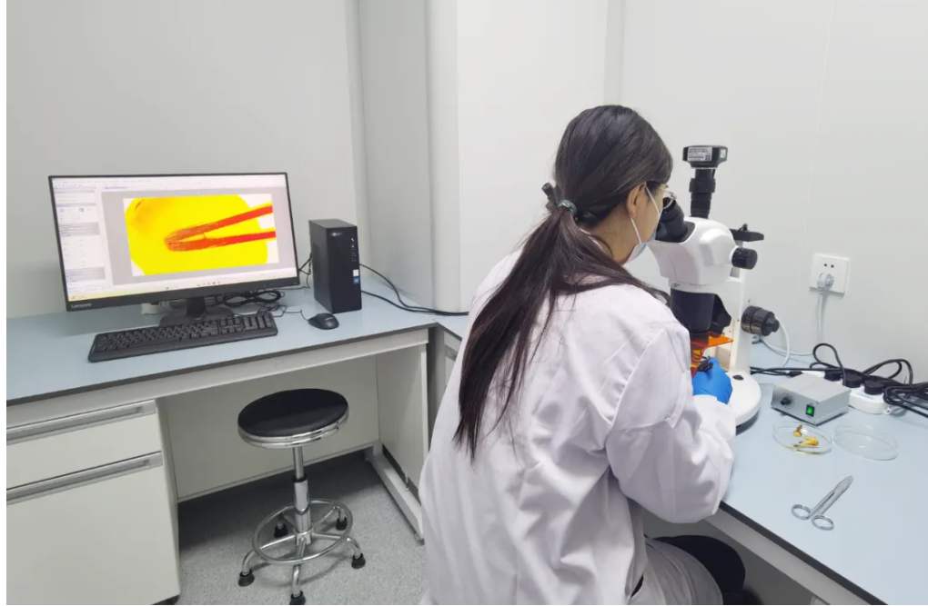 屏幕截图 2024-12-31 141646.png