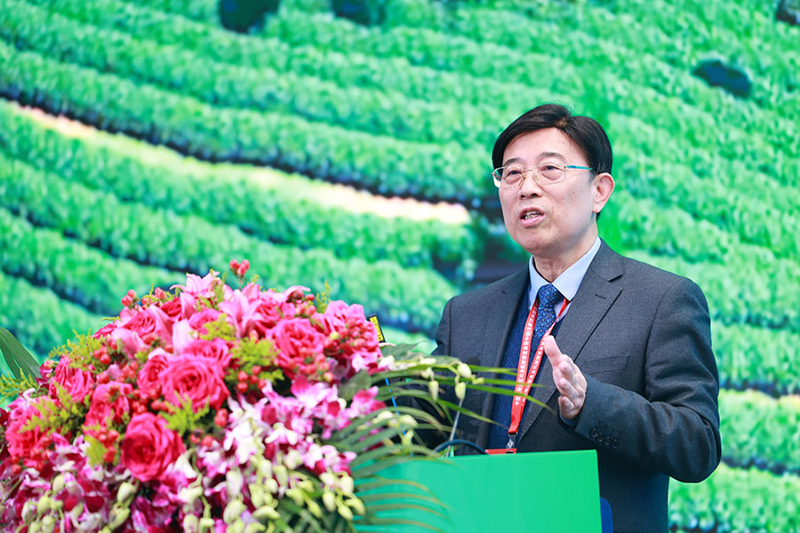 9.何勇报告 拷贝.jpg