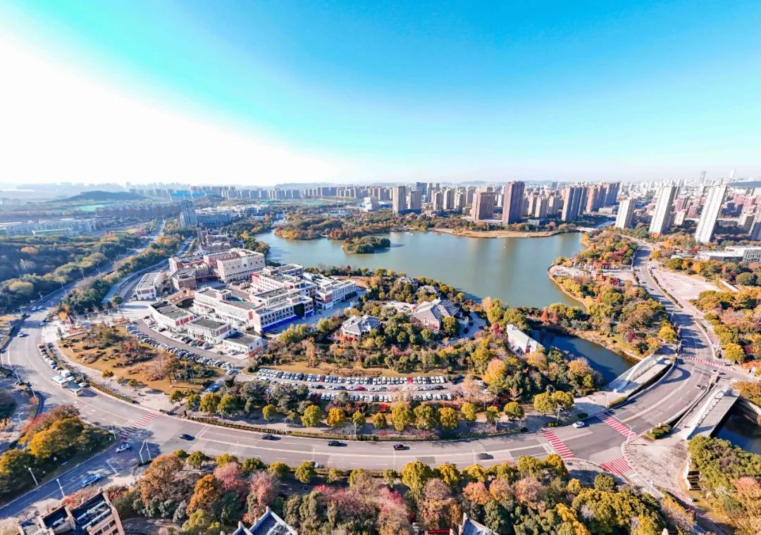 挖机正在地面找平 (2).jpg