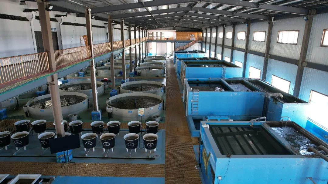 低碳高效循环流水养殖系统，让渔业养殖实现了从“靠天吃饭”到“零排放”的跨越.jpg