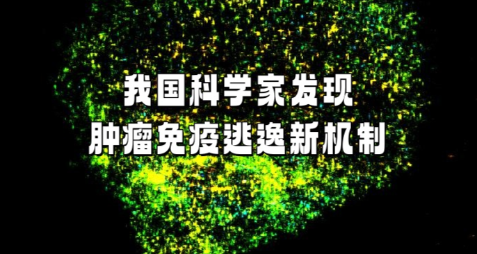 我国科学家发现肿瘤免疫逃逸新机制