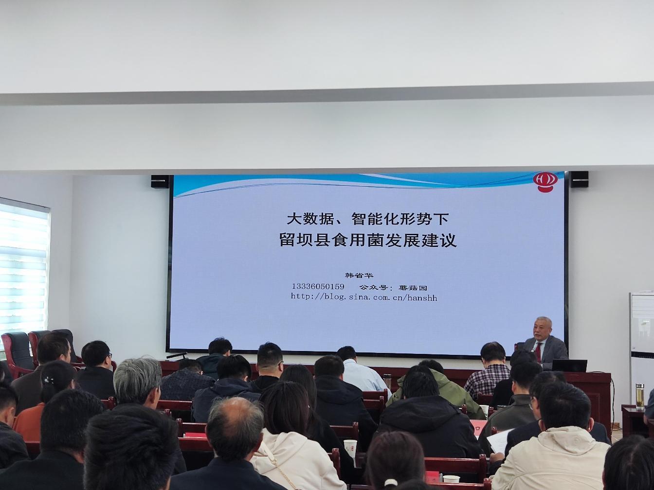 361e2fee77c4a9b176a7ec352a11fe9