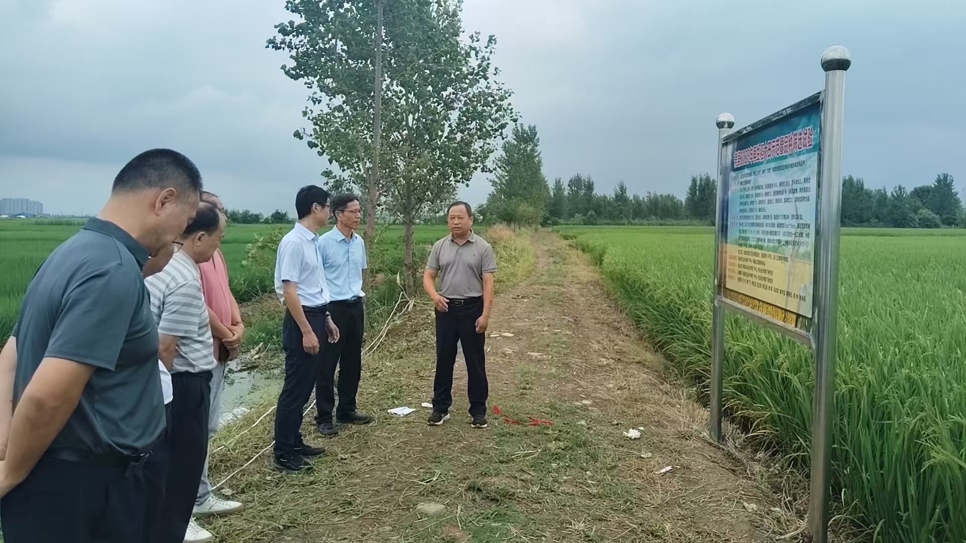 8月1日 现场调研（特色帮扶）图片IMG_20250801_124236 (2).jpg