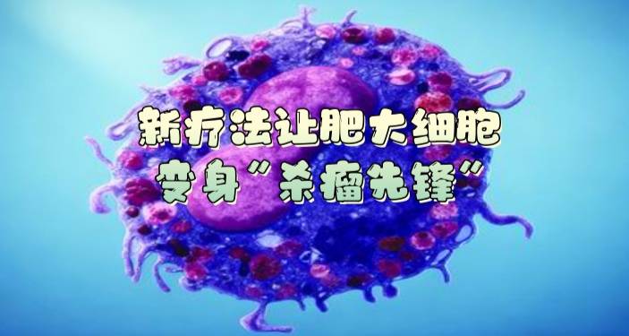 新疗法让肥大细胞变身“杀瘤先锋”