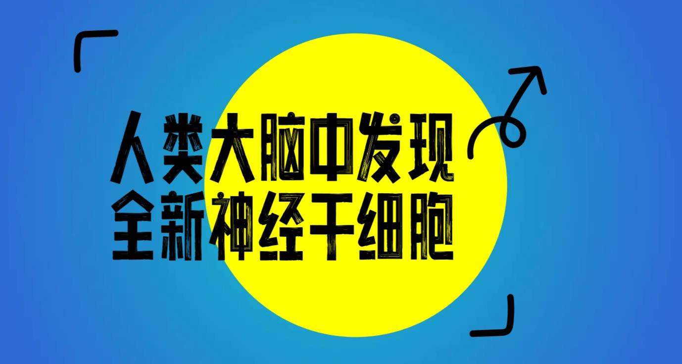 人类大脑中发现全新神经干细胞