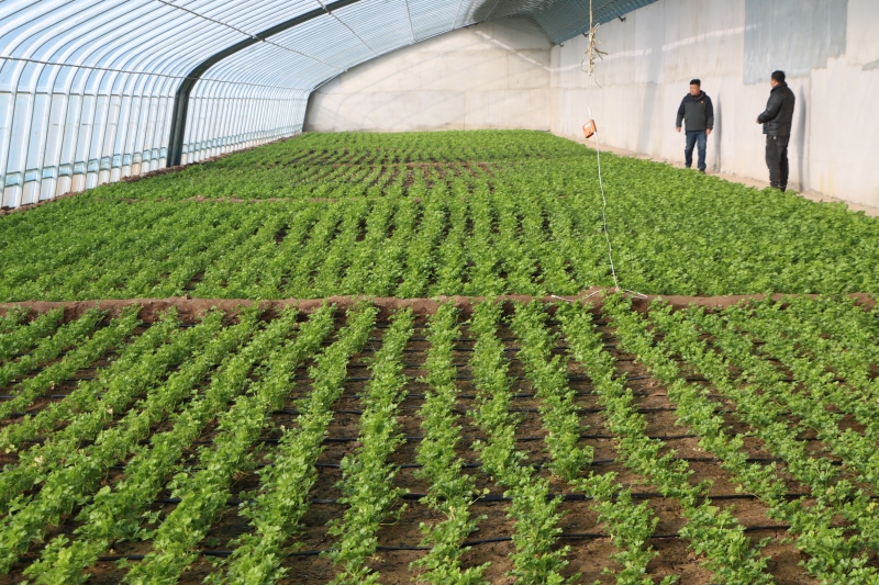 7B58A93B01DF35797811982D6A392E87 (1).jpg