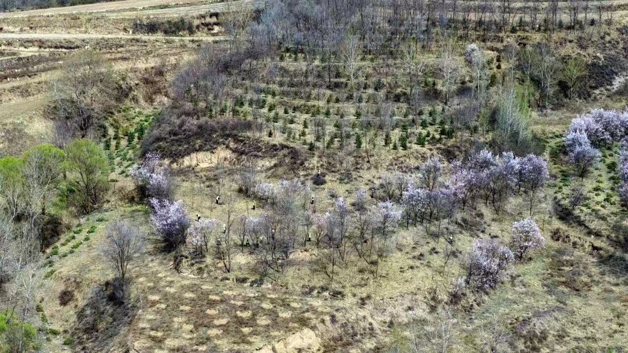 微信图片_20260410102232_443_4.jpg