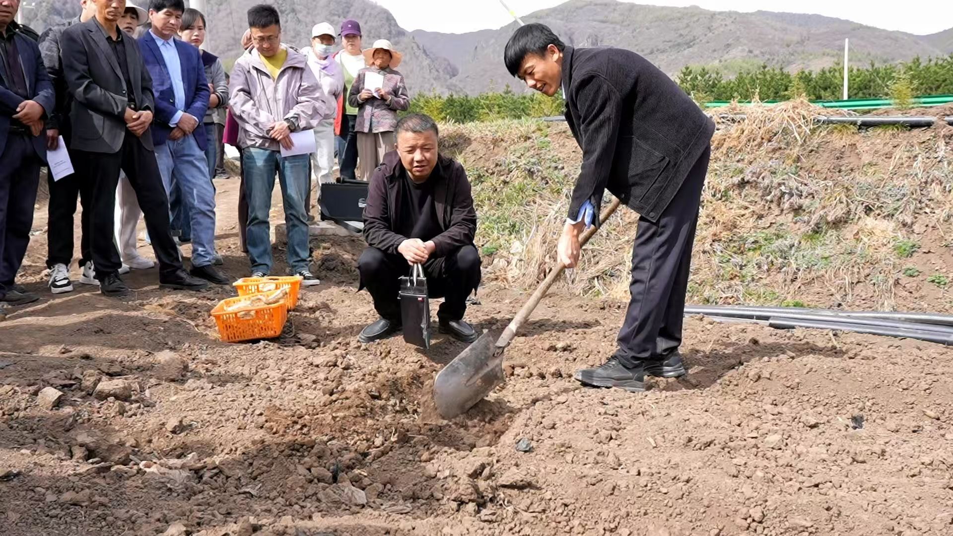 微信图片_20260413101335_458_4.jpg
