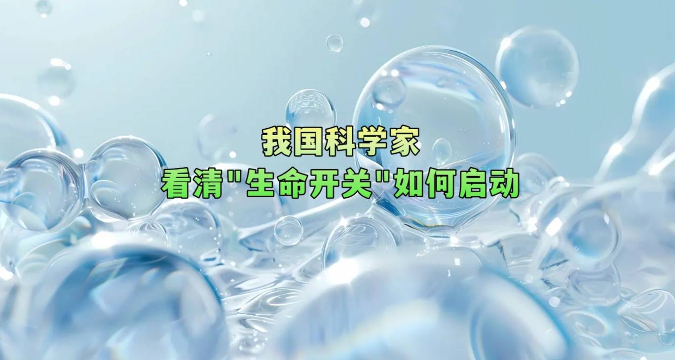 我国科学家看清“生命开关”如何启动