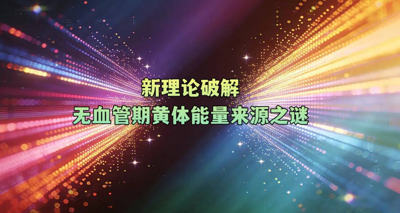 新理论破解无血管期黄体能量来源之谜