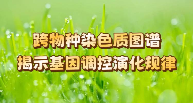 跨物种染色质图谱揭示基因调控演化规律
