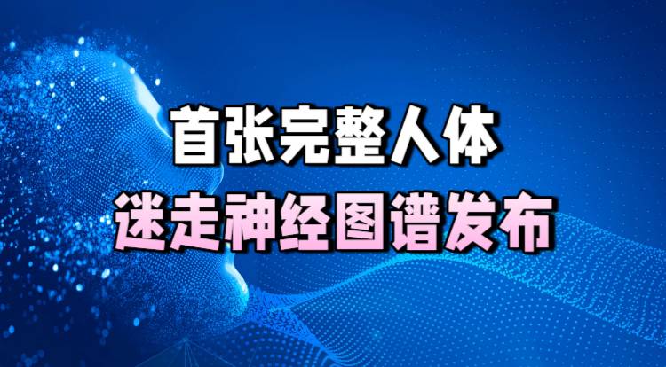 首张完整人体迷走神经图谱发布
