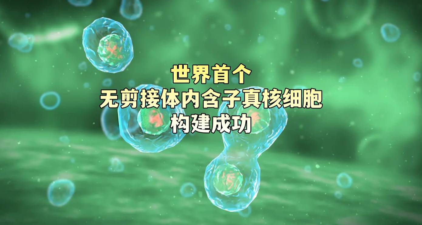 世界首个无剪接体内含子真核细胞构建成功