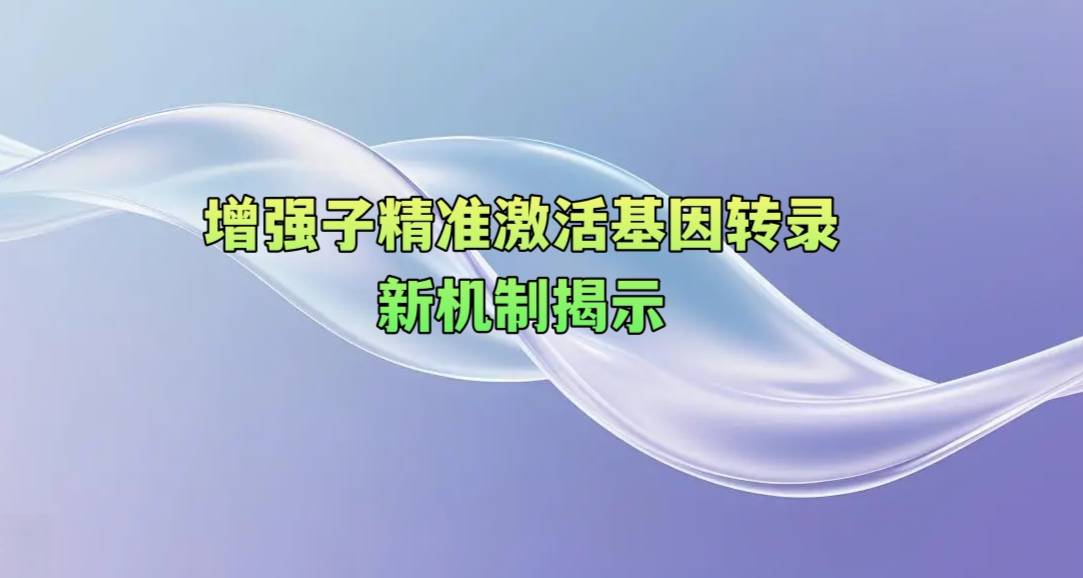 增强子精准激活基因转录新机制揭示