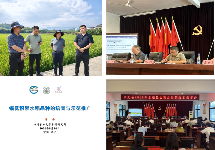 图片合并.png