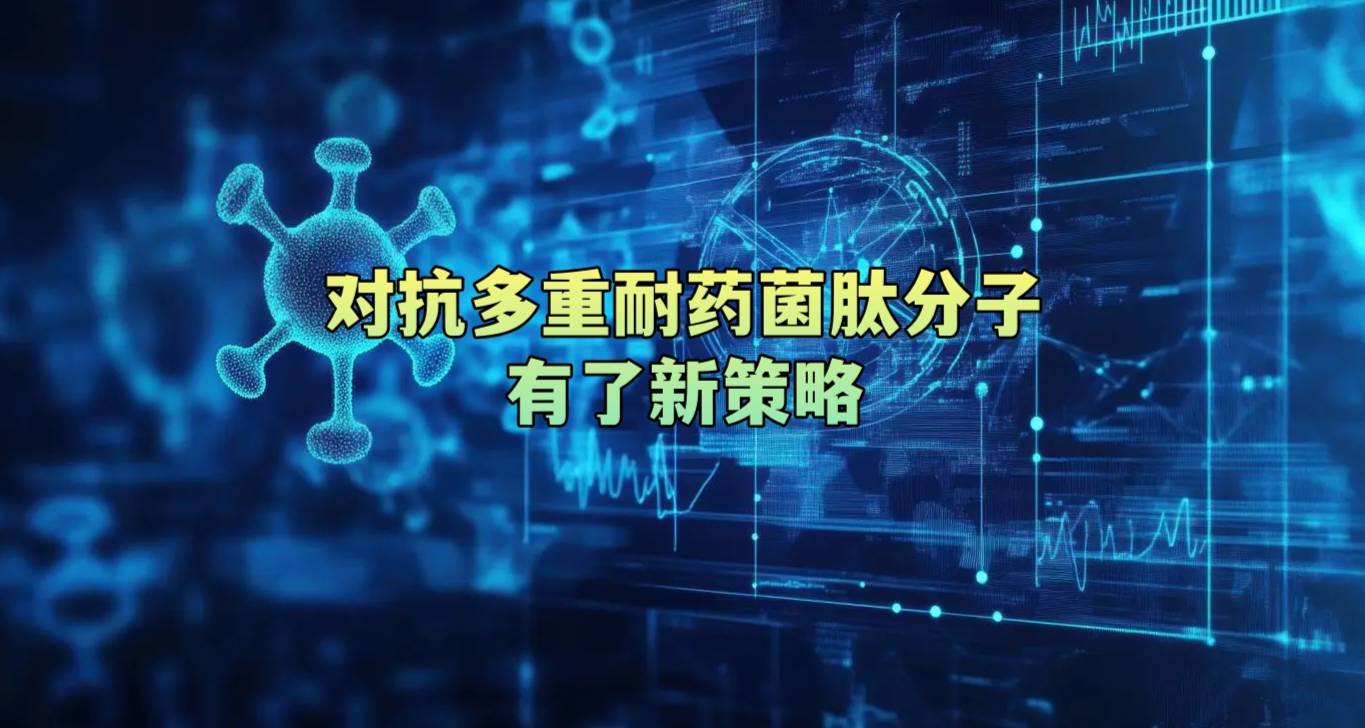 对抗多重耐药菌肽分子有了新策略
