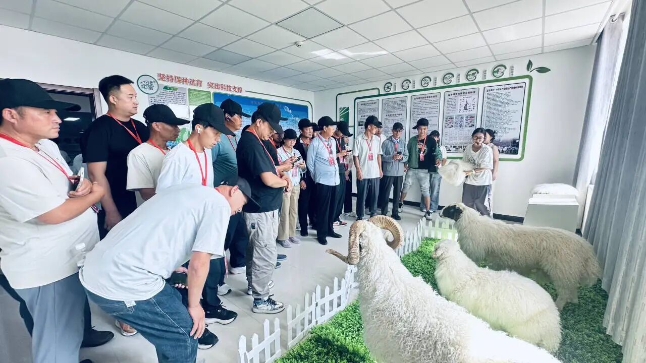 微信图片***