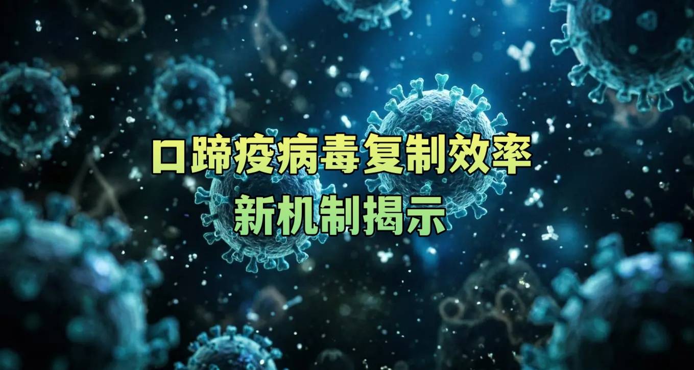 口蹄疫病毒复制效率新机制揭示