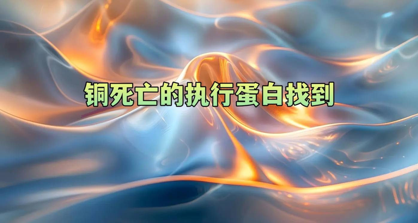 铜死亡的执行蛋白找到