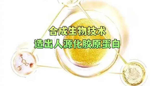 合成生物技术造出人源化胶原蛋白