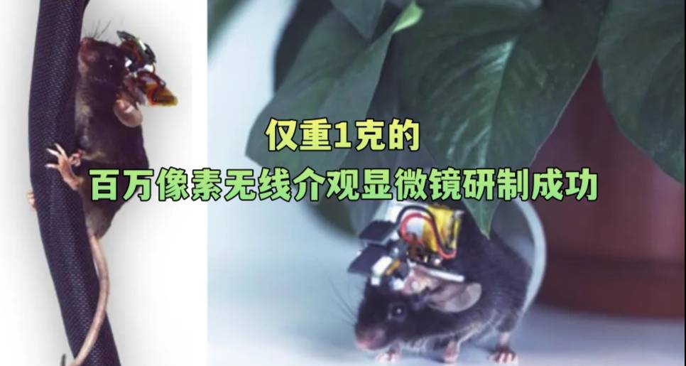 仅重1克的百万像素无线介观显微镜研制成功