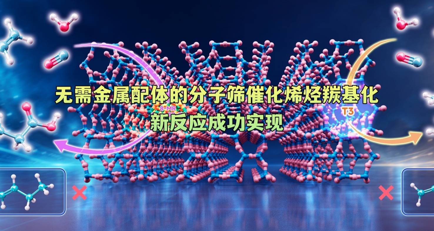 无需金属配体的分子筛催化烯烃羰基化新反应成功实现