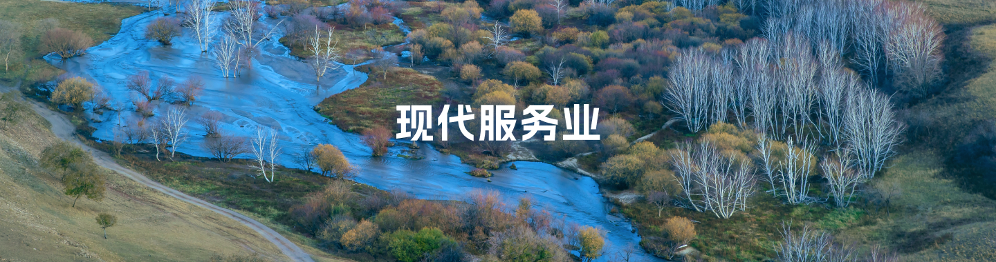现代服务业
